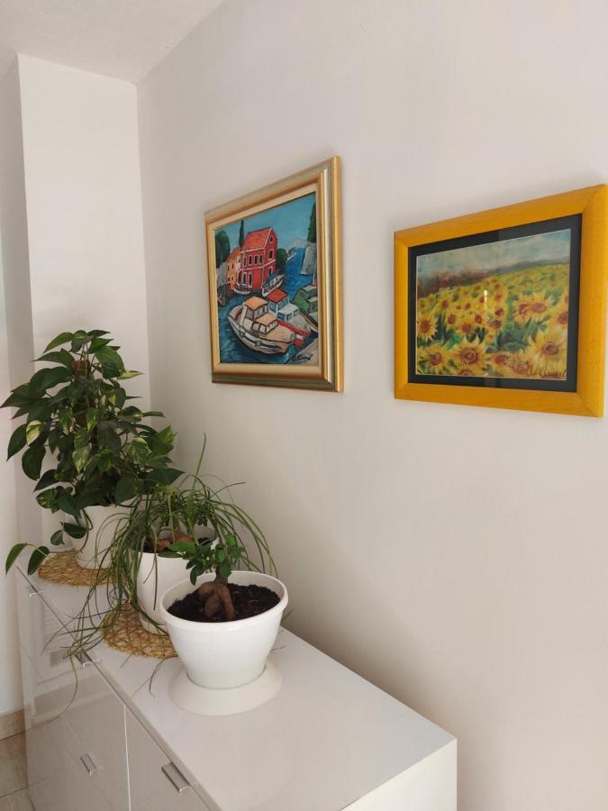 Apartment Maslina